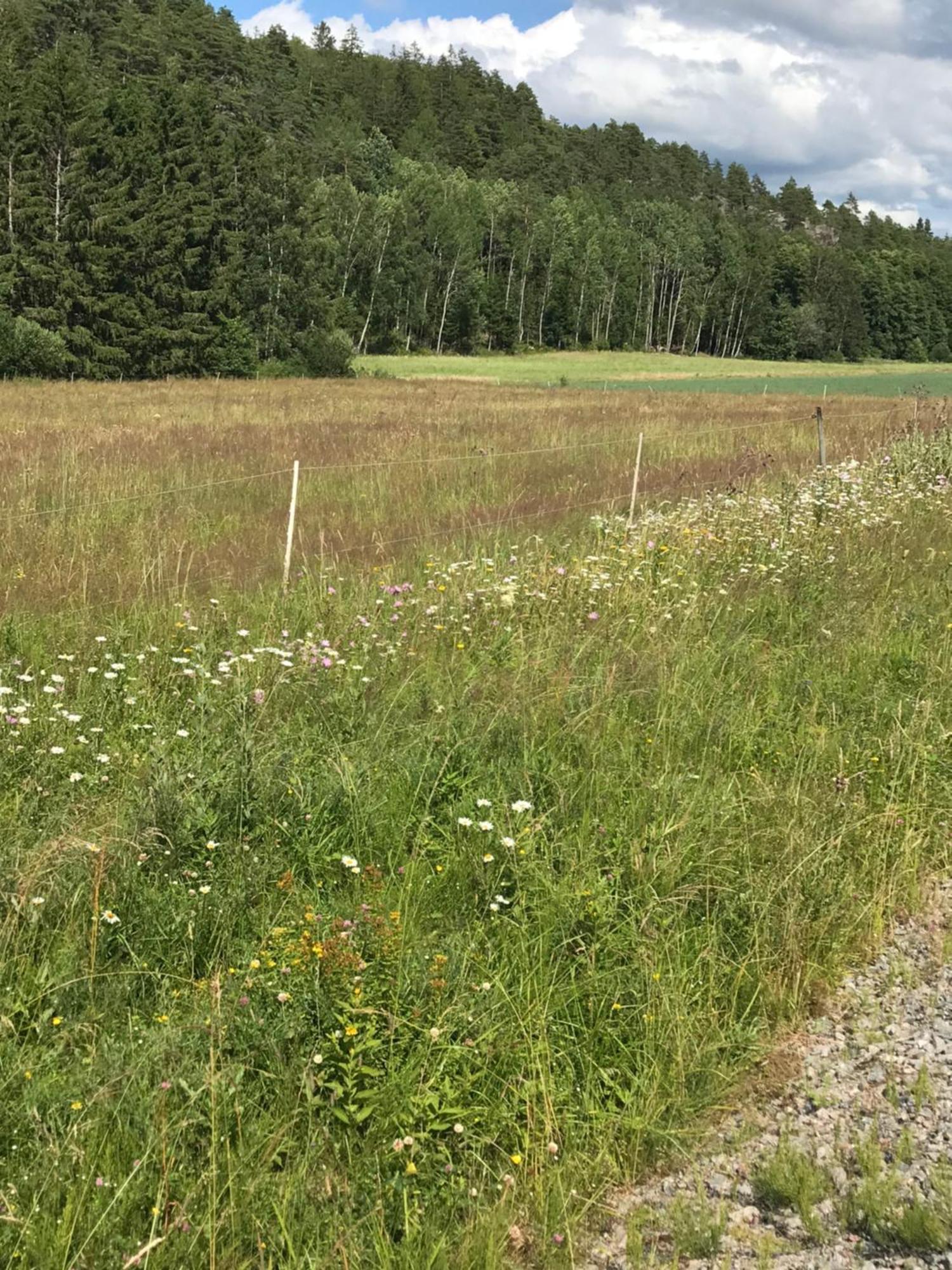 Charmigt Aeldre Hus, Laddbox 22 Kw, 5 Bil-minuter Bad Appartement Strömstad